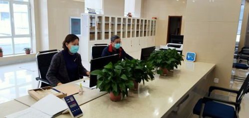 通化市档案馆 疫情防控与档案利用服务两不误，档案整理服务赋能便民